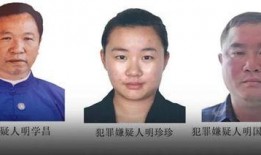 缅北最新爆料消息视频大全,视频大全深度解析