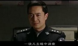 刑警在线观看,揭秘犯罪现场，正义之光照亮黑暗角落